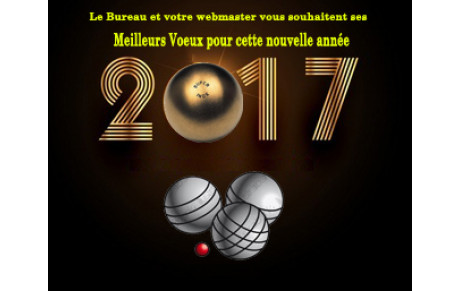 Voeux 2017